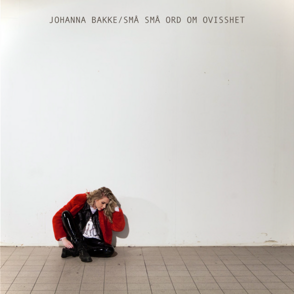 Små små ord om ovisshet by Johanna Bakke