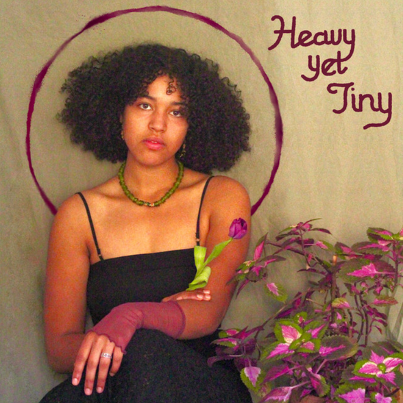 Heavy Yet Tiny by Diane Emerita
